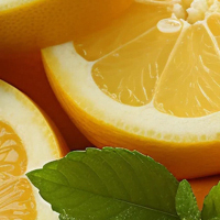 Mint Orange - Мята Апельсин